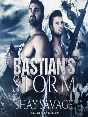 cover image of Bastian's Storm
